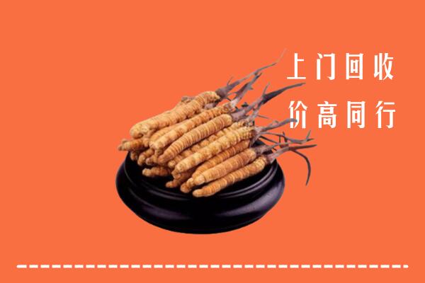 枣庄市回收散虫草